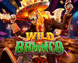 Wild Bronco