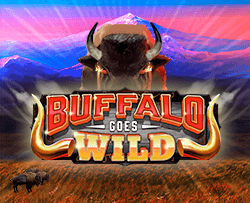 Buffalo Goes Wild